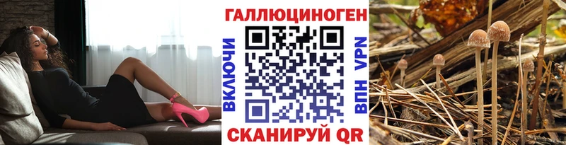 сколько стоит  Рязань  Псилоцибиновые грибы мухоморы 