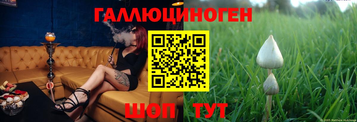Галлюциногенные грибы MAGIC MUSHROOMS  Вход с VPN  Рязань 